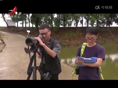 五哥帮忙团20220705