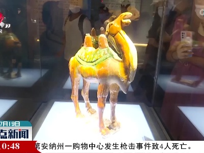 “丝路遗珍——中国古代外销瓷展” 开幕