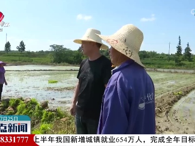唱响乡村振兴曲 我是“新农人”