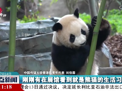 港澳台青年探秘熊猫之旅开启