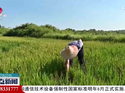贵溪：多措并举抗旱保丰收