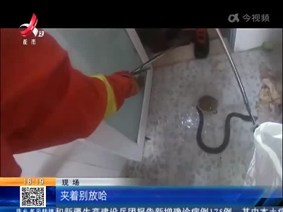 【救在现场】宜春高安：眼镜蛇出没居民楼 “上厕所”吓得女主人脸煞白