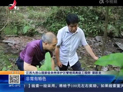 江西：首次发现！珍稀濒危植物二脊沼兰