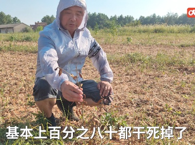 村民200多亩油茶树受灾 消防洒水40余吨解燃眉之急