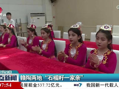 赣陶两地“石榴籽一家亲”