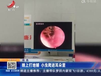 南昌：晚上打地铺 小虫爬进耳朵里