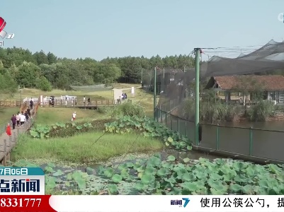 整点新闻20220706 12:00