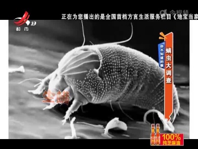 你不知道的事——螨虫大调查