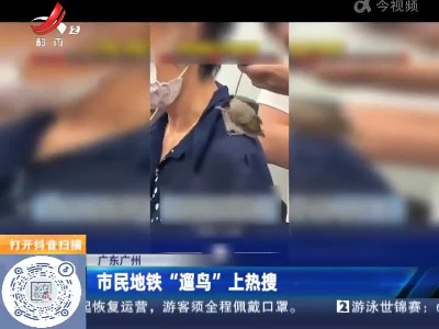 广东广州：市民地铁“遛鸟”上热搜