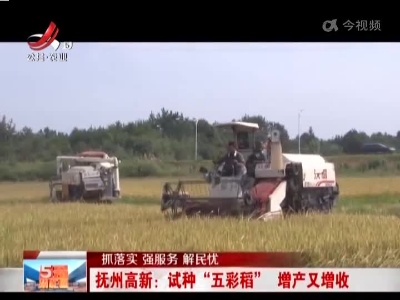 【抓落实 强服务 解民忧】抚州高新：试种“五彩稻”  增产又增收