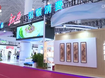 第二届中国国际消费品博览会：天下米粉看江西
