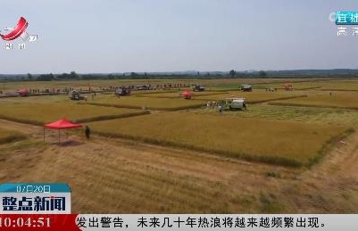 整点新闻20220720 10:00