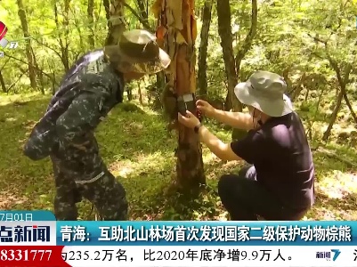 青海：互助北山林场首次发现国家二级保护动物棕熊