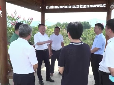 史文斌在修水县调研