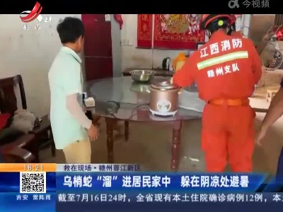 【救在现场】赣州蓉江新区：乌梢蛇“溜”进居民家中 躲在阴凉处避暑