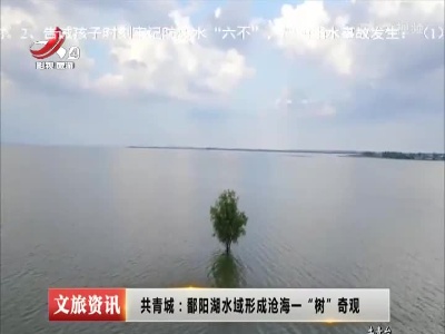 共青城：鄱阳湖水域形成沧海一“树”奇观