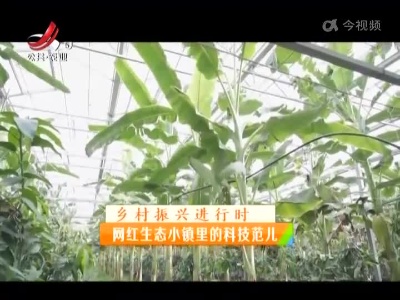 稻花香里20220715 乡村振兴进行时——网红生态小镇里的科技范儿