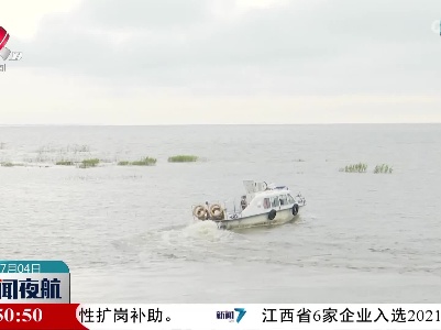 白鹤滞留南矶湿地 密切监测让其安全栖息