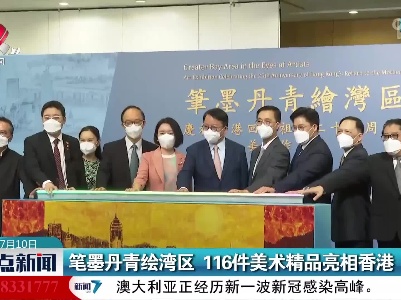 笔墨丹青绘湾区 116件美术精品亮相香港