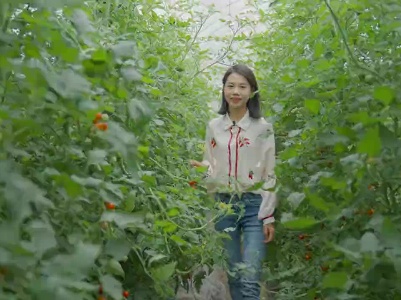 安远：千禧获丰收 共奔致富路