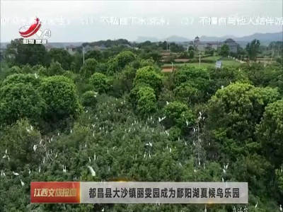 都昌县大沙镇丽雯园成为鄱阳湖夏候鸟乐园