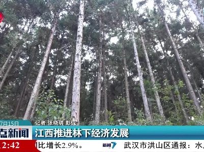 江西推进林下经济发展
