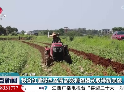 江西省红薯绿色高质高效种植模式取得新突破