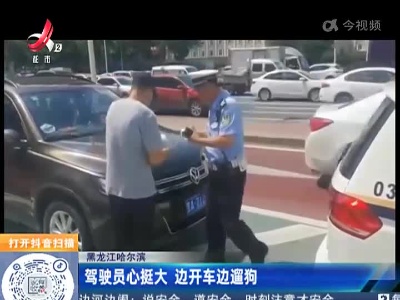 黑龙江哈尔滨：驾驶员心挺大 边开车边遛狗