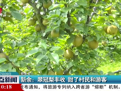 新余：翠冠梨丰收 甜了村民和游客