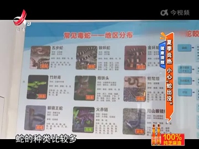 地宝当家20220725
