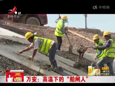 万安：高温下的“船闸人”