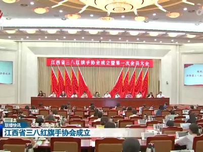 江西省三八红旗手协会成立