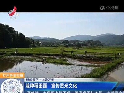 【赣闻天下】上饶万年：栽种稻田画 宣传贡米文化