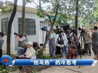 社会传真20220707 “拍鸟热”的冷思考