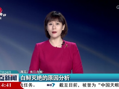 【再见，长江白鲟！】白鲟灭绝的原因分析