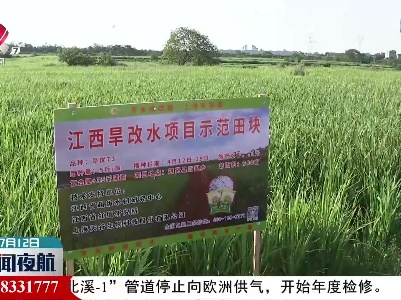 江西：推广节水抗旱稻 荒地成良田