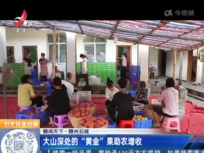 【赣闻天下】赣州石城：大山深处的“黄金