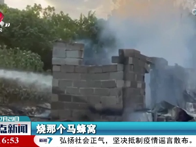 大爷烧马蜂窝 把房子烧了