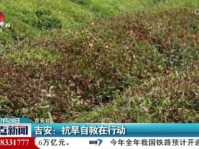 吉安：抗旱自救在行动