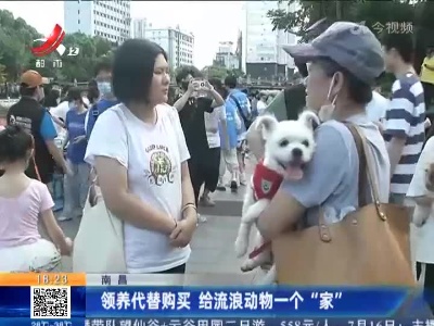 南昌：领养代替购买 给流浪动物一个“家”
