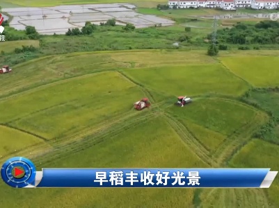 社会传真20220721 早稻丰收好光景