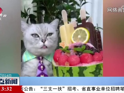 它们靠魅力 收获大量粉丝