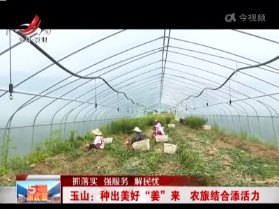 【抓落实 强服务 解民忧】玉山：种出美好“姜”来 农旅结合添活力
