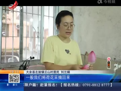 【今日小暑】赏荷食荷 与君众乐