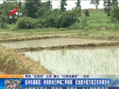 【聚焦“放管服”改革 曝光“怕慢假庸散”】后续 ·抚州东临新区：绝收耕地已种植二季晚稻 征地款分配方案正在协调当中