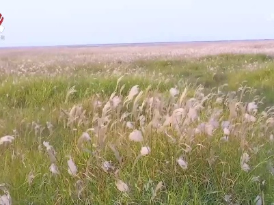 我省公布第二批省级重要湿地名录