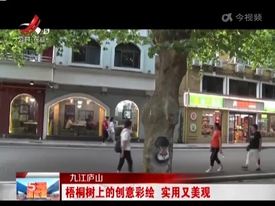 九江庐山：梧桐树上的创意彩绘 实用又美观