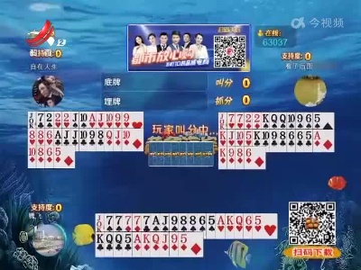谁是赢家20220712