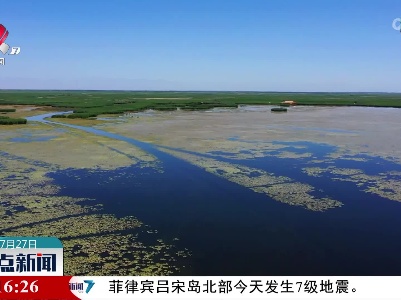 中国最大内陆淡水湖睡莲怒放