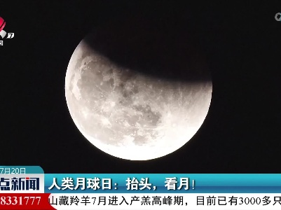 人类月球日：抬头，看月！